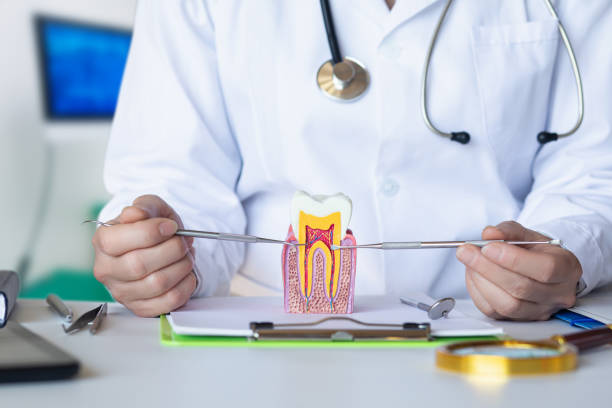 Best Pediatric Emergency Dentist in La Plata, MO